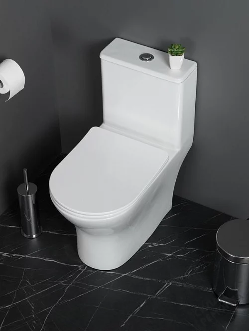 Фото Унитаз моноблок BelBagno Lounge BB8618CPR-MN/SC безободковый купить в Благовещенске: цена, описание, фото. Интернет-магазин 1